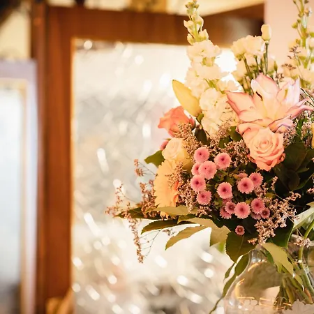 Mike's Mosel Treis-Karden