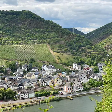 Mike's Mosel 酒店 特赖斯-卡尔登