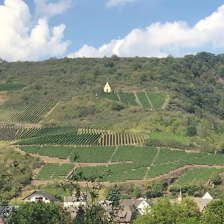 Mike's Mosel *