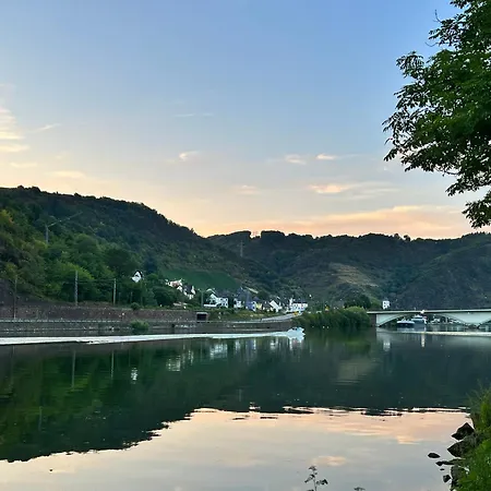 Mike's Mosel Hotel