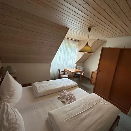 Mike's Mosel Hotel *