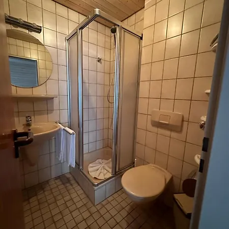 Mike's Mosel Hotel *