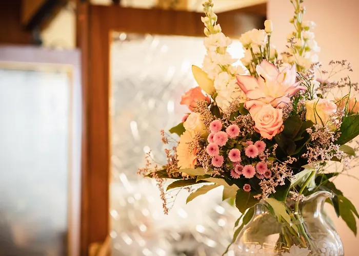 Mike's Mosel Treis-Karden