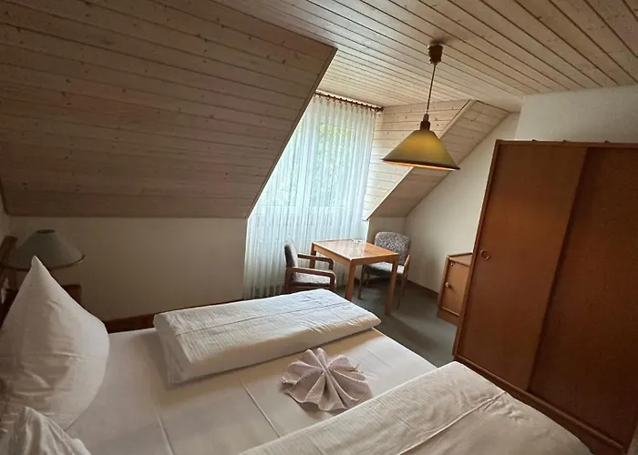 Mike's Mosel Hotell *